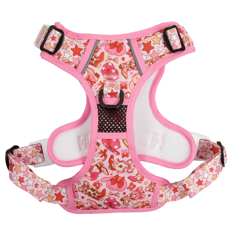 Big & Little Dogs Rodeo Queen All Rounder Harness