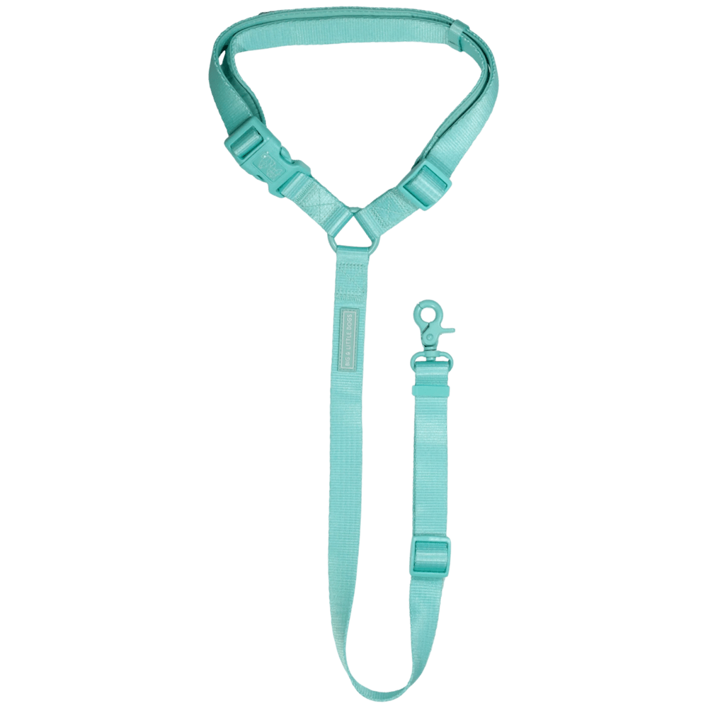 Big & Little Dog Premium Car Headrest Restraint - Aqua - Car Restraints from Big & Little Dogs at DoggyTopia