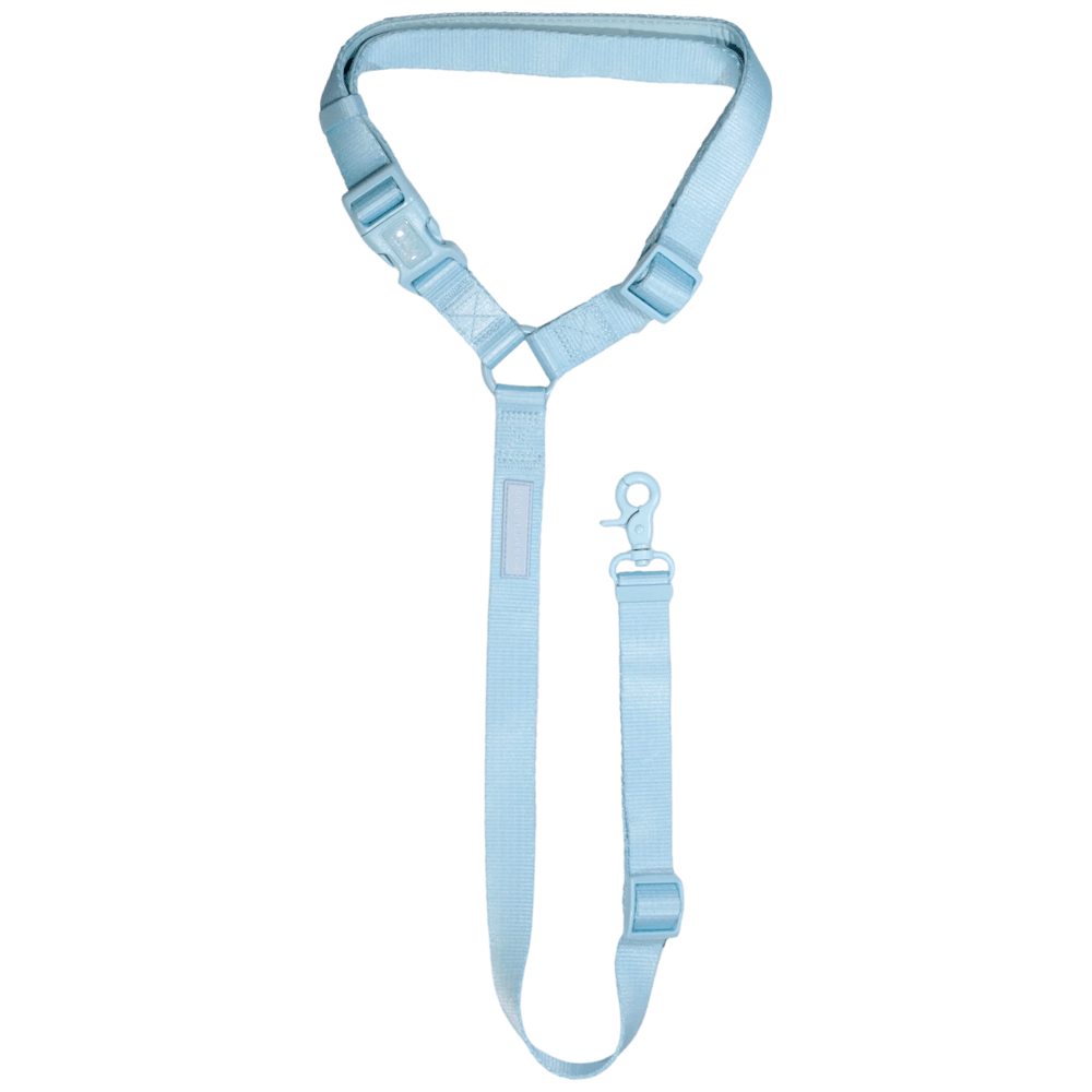 Big & Little Dog Premium Car Headrest Restraint - Blue - Car Restraints from Big & Little Dogs at DoggyTopia