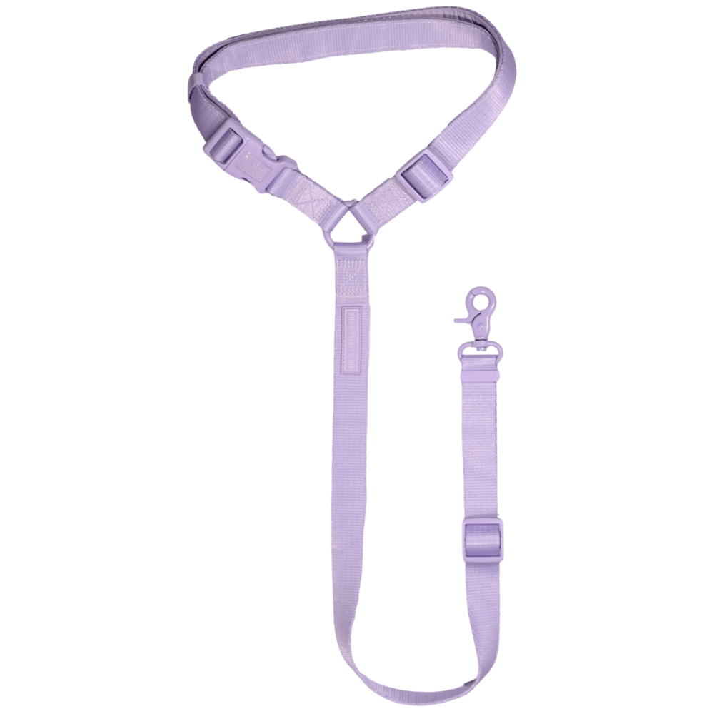Big & Little Dog Premium Car Headrest Restraint - Purple - Car Restraints from Big & Little Dogs at DoggyTopia