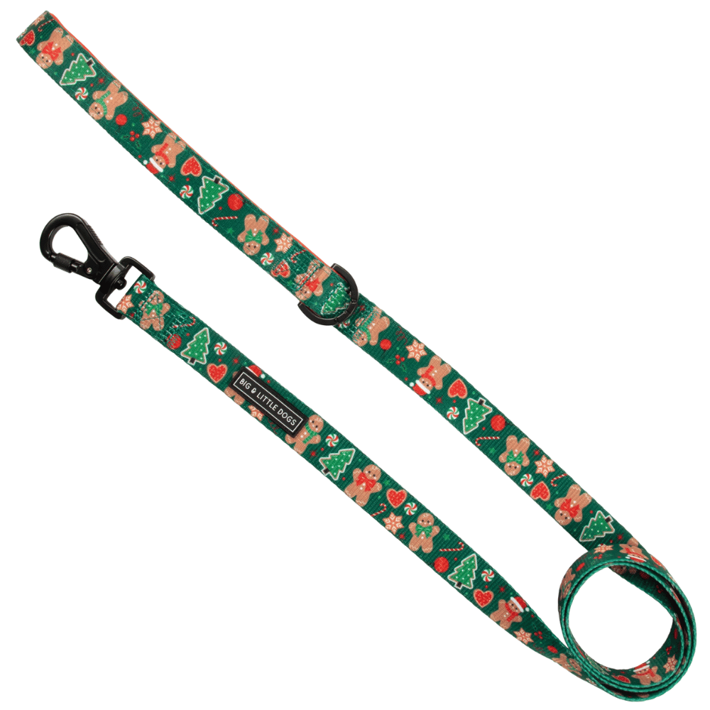 Big & Little Dogs Gingerbread Cutie Dog Leash - Leashes & Leads from Sale at DoggyTopia