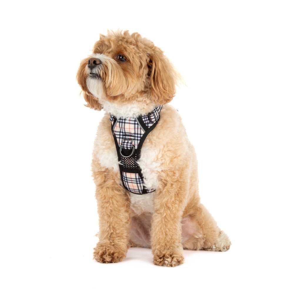 Big & Little Dogs Nova Plaid All Rounder Harness - All Rounder Harnesses from Big & Little Dogs at DoggyTopia
