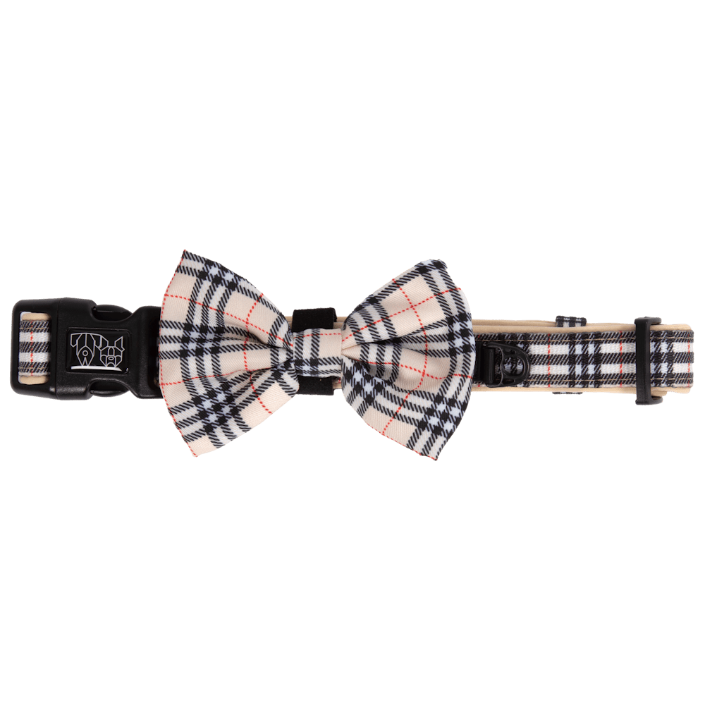 Big & Little Dogs Nova Plaid Collar & Bow Tie - Collar & Bow Ties from Big & Little Dogs at DoggyTopia