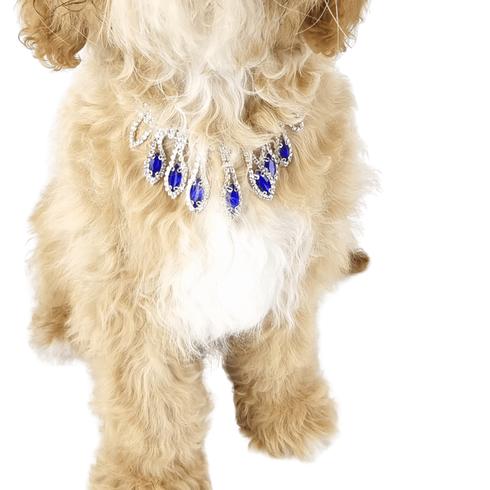 Diamante Tear Drop Dog Necklace - Blue - Dog Necklaces from Sale at DoggyTopia