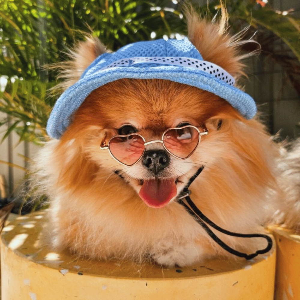 Full Brim Dog Sun Hat Blue - Dog Sun Hat from . at DoggyTopia