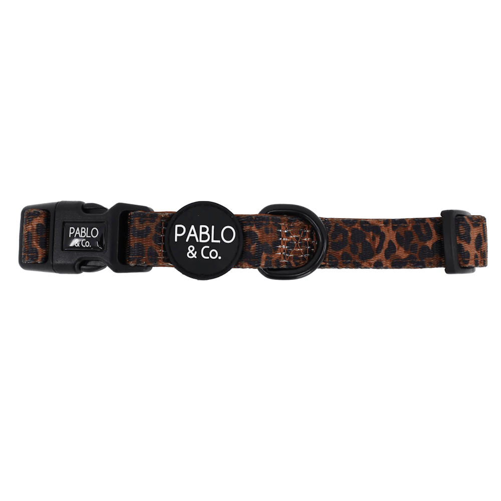 Pablo & Co Leopard Dog Collar - Collars from Pablo & Co at DoggyTopia