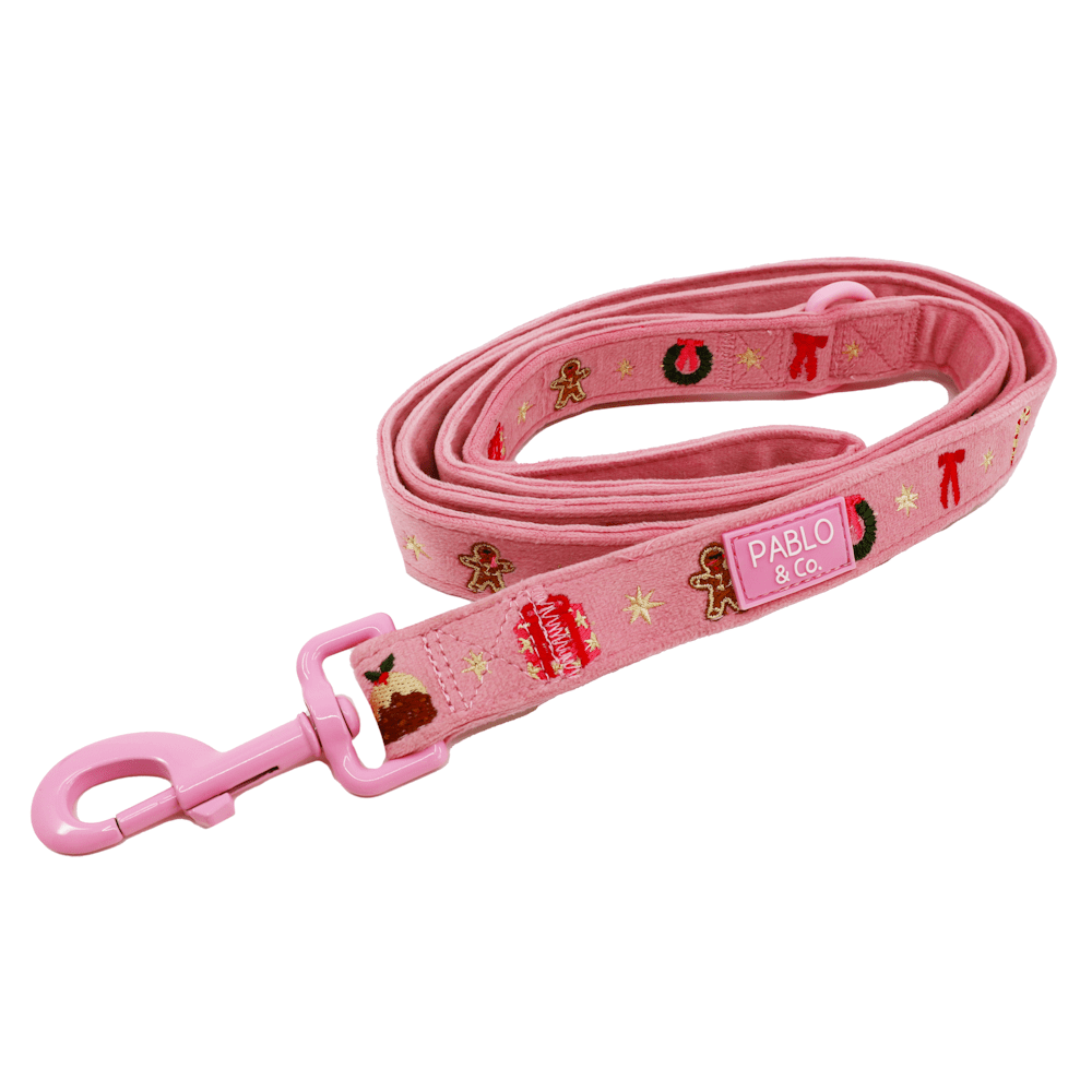 Pablo & Co Merry & Bright Dog Leash - Leashes & Leads from Sale at DoggyTopia