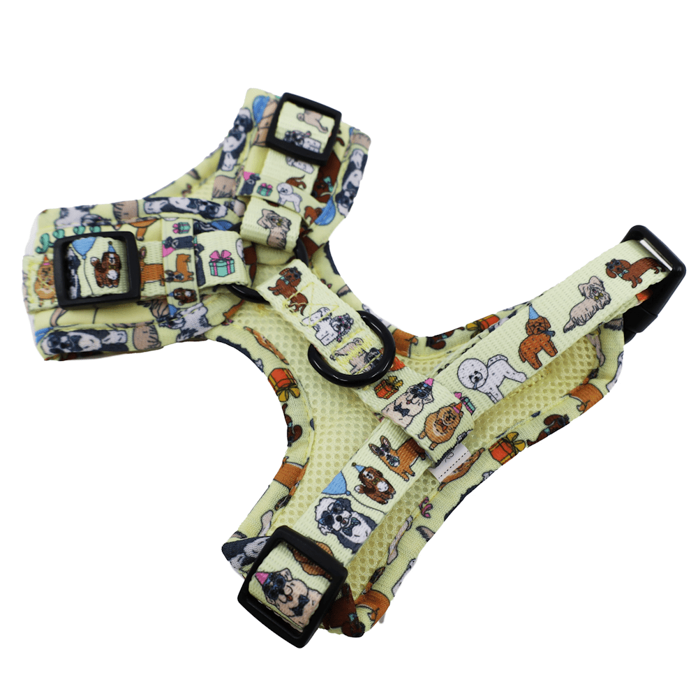 Pablo & Co Party Dawgs Adjustable Harness - Adjustable Harnesses from Pablo & Co at DoggyTopia