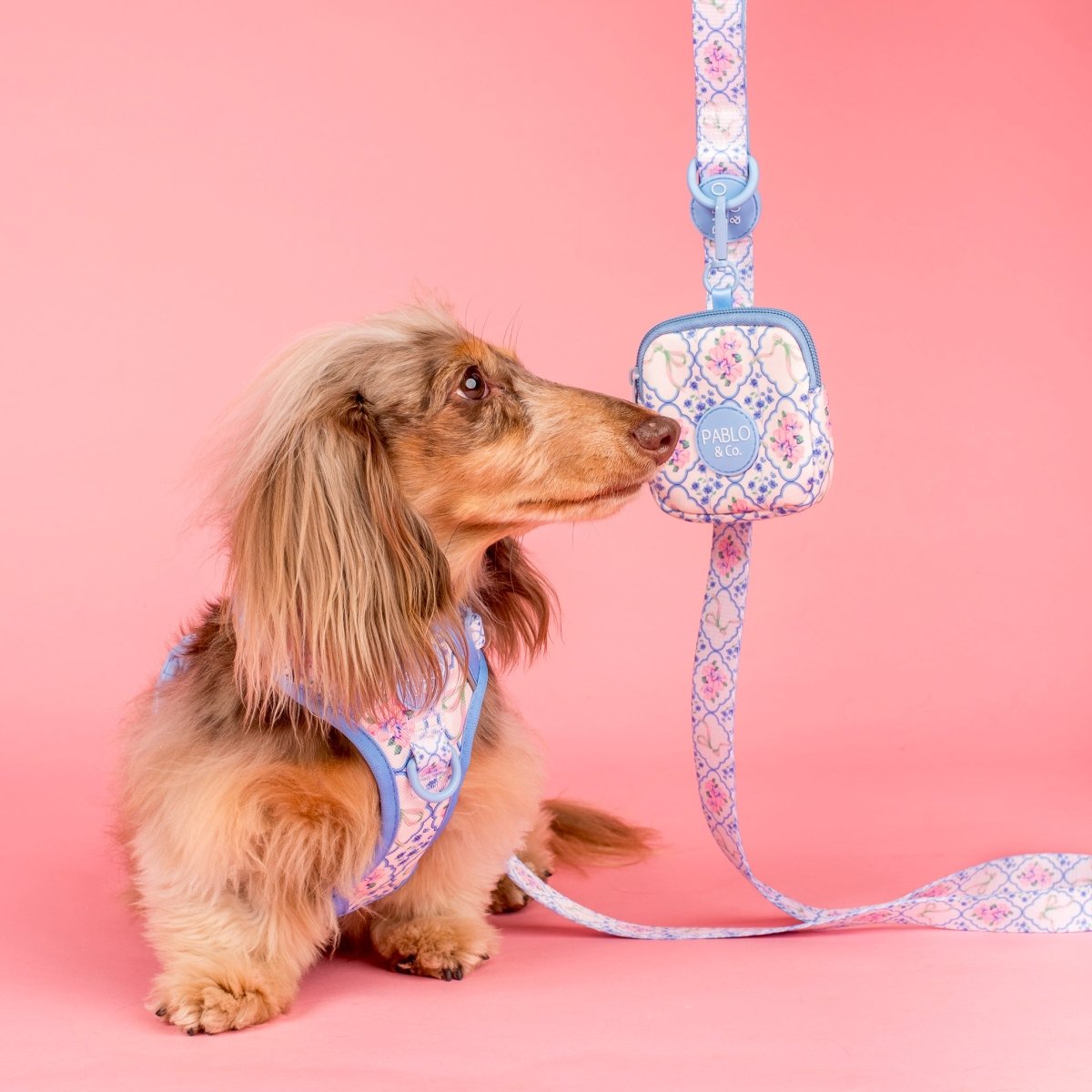 Pablo & Co Petal Dog Leash - Leashes & Leads from Pablo & Co at DoggyTopia