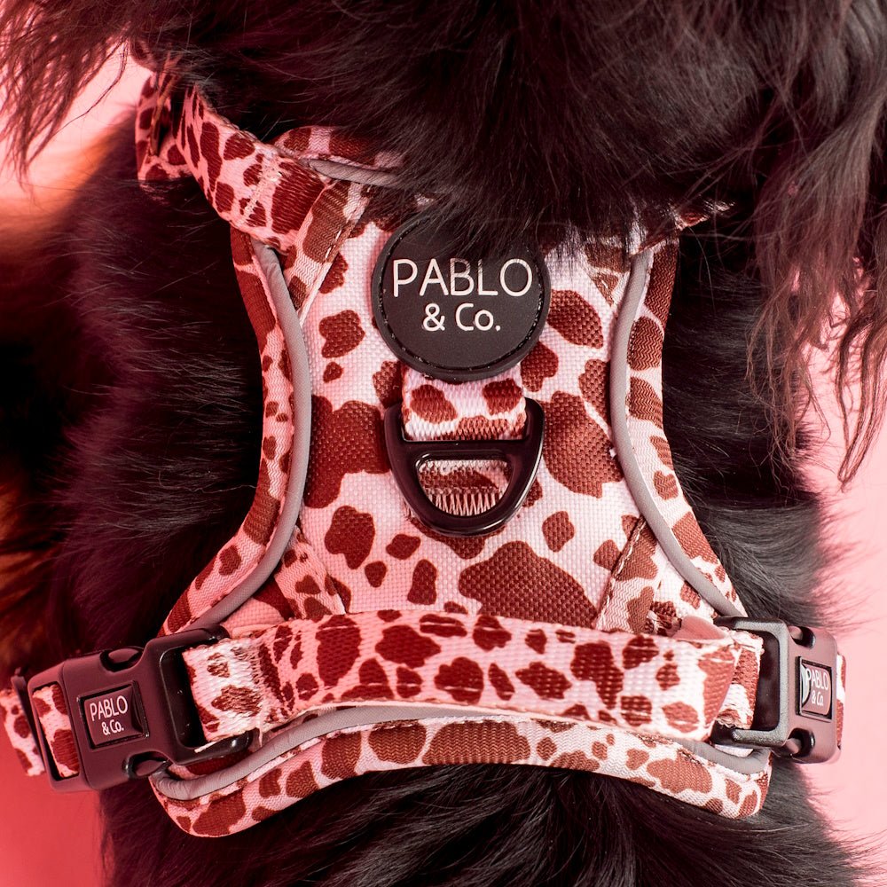 Pablo & Co Rodeo No Pull Harness - No Pull Harnesses from Pablo & Co at DoggyTopia