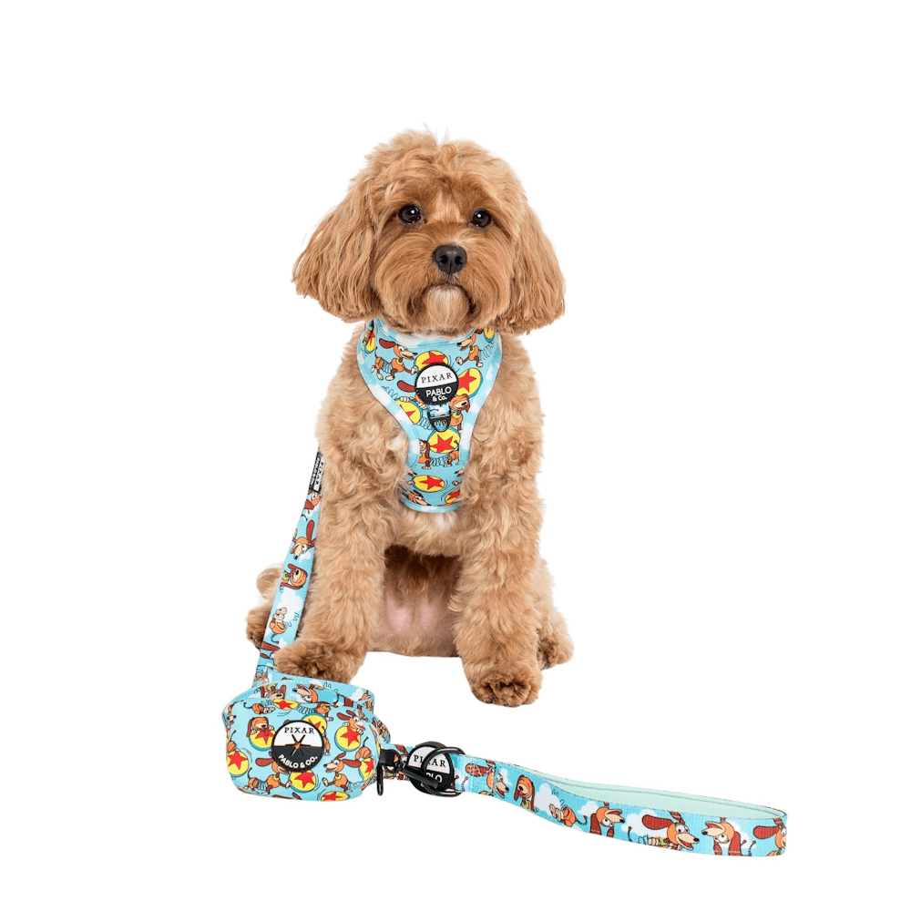 Pablo & Co Toy Story - Slinky Dog: Poop Bag Holder - Poop Bag Holders from Pablo & Co Disney at DoggyTopia