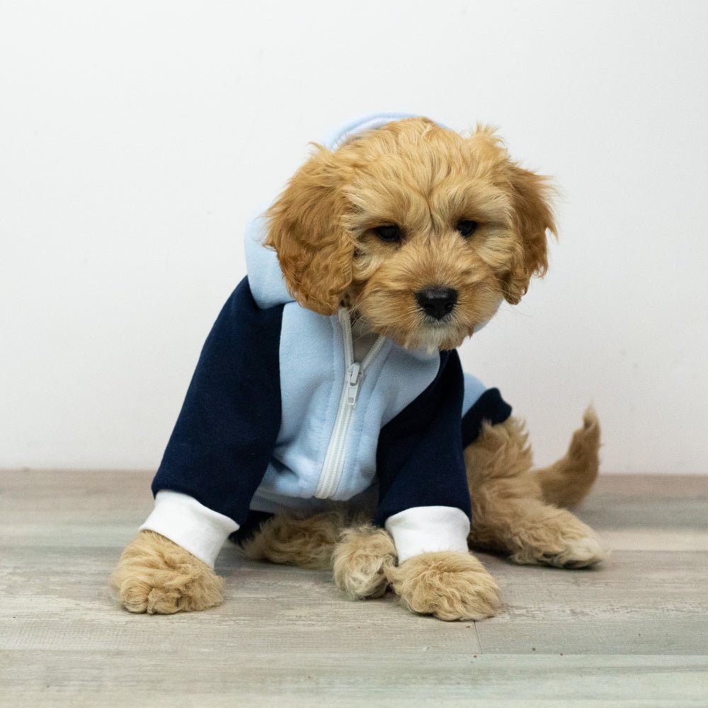 Active Zip Hoodie - Blue - Hoodies from Sale at DoggyTopia