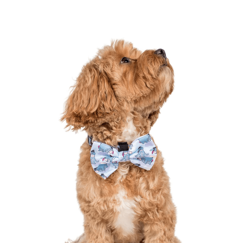 Pablo & Co Eeyore: Bow Tie - Bow Ties from Pablo & Co Disney at DoggyTopia