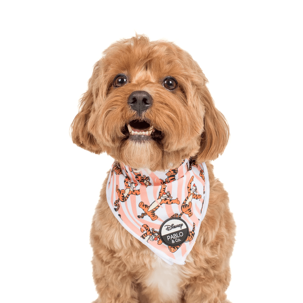 Pablo & Co One of a Kind Tigger: Bandana - Bandanas from Pablo & Co Disney at DoggyTopia
