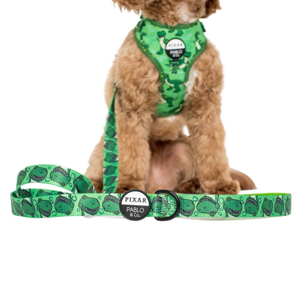 Pablo & Co Toy Story - Rex: Dog Leash - Leashes & Leads from Pablo & Co Disney at DoggyTopia