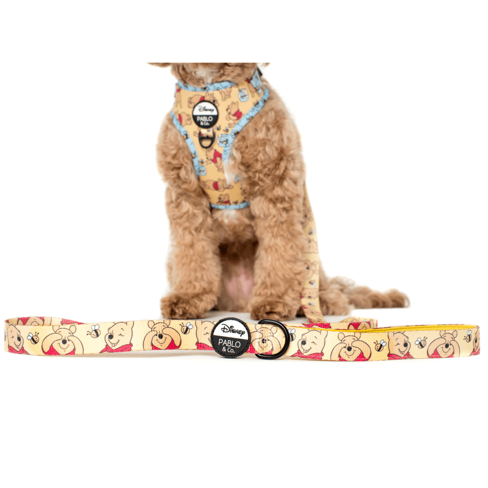 Pablo & Co Winnie the Pooh & Bee's: Dog Leash - Leashes & Leads from Pablo & Co Disney at DoggyTopia