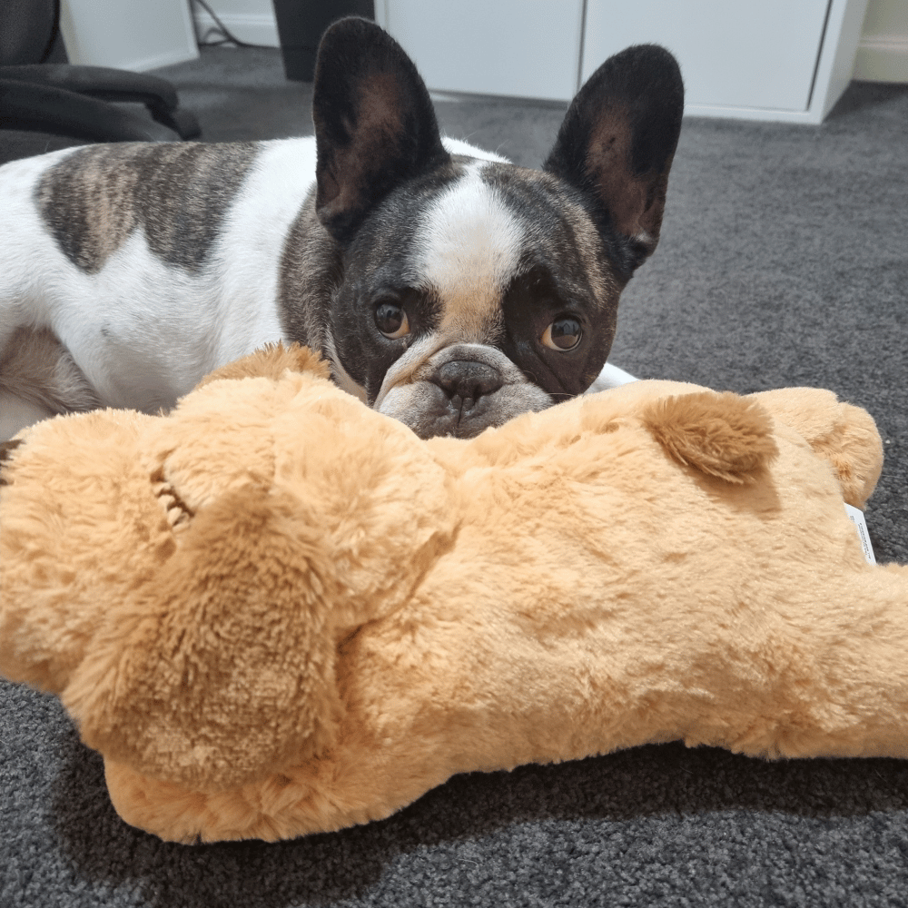 Plush Puppy Heartbeat Comforter Toy
