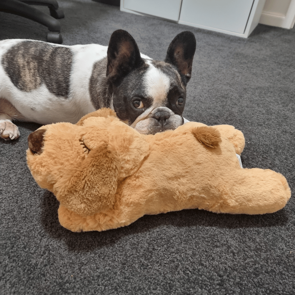Plush Puppy Heartbeat Comforter Toy