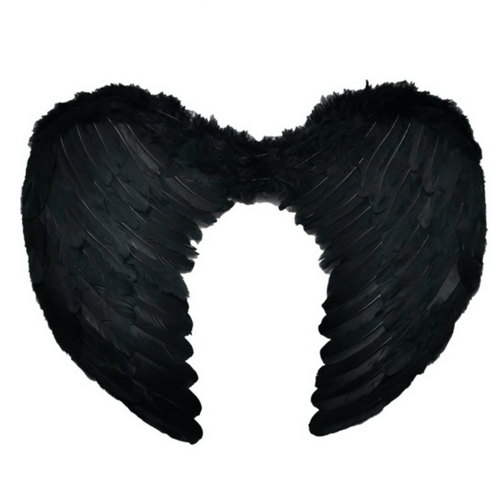 Angel Wings Dog Costume