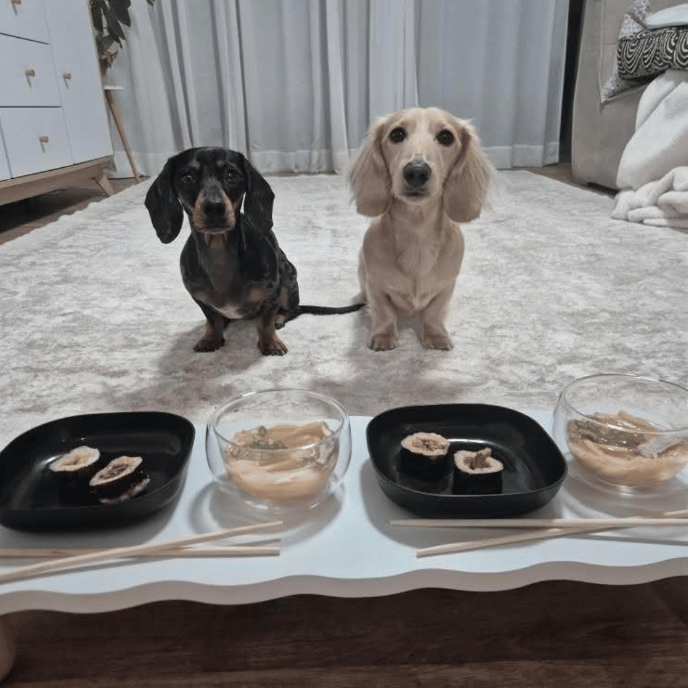 L'Barkery Pawshi Pack - Mixed
