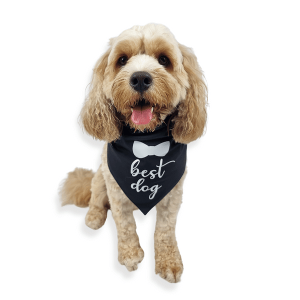 Best Dog Wedding Bandana