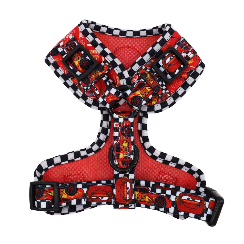Pablo & Co Cars Adjustable Harness