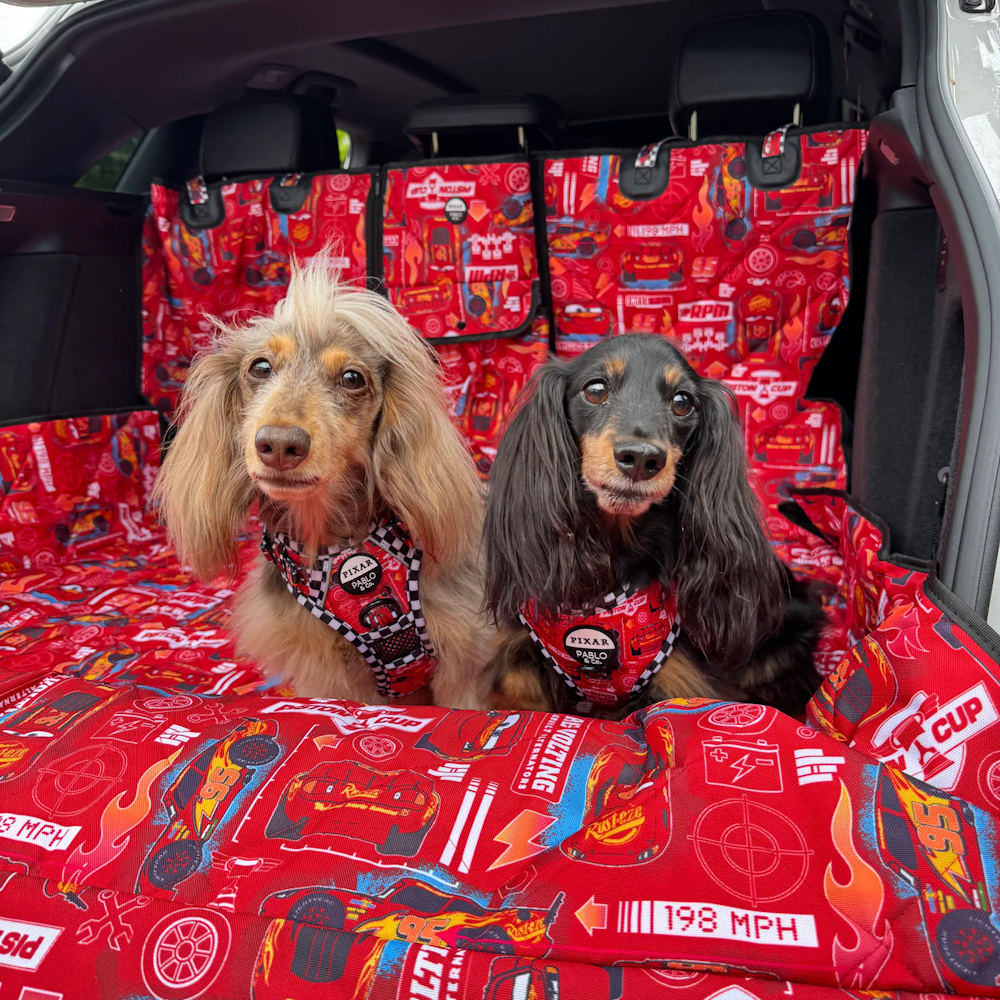 Pablo & Co Cars Deluxe Car Boot Cover