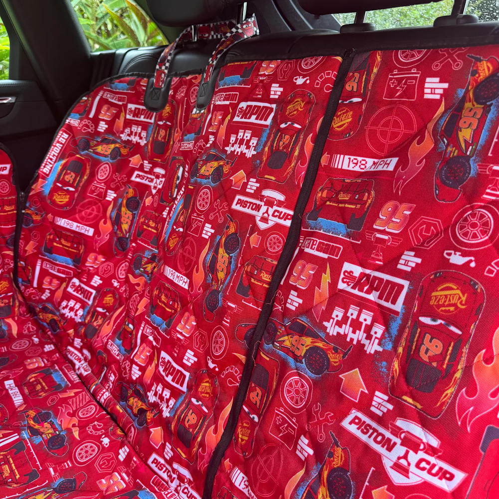 Pablo & Co Cars Deluxe Hammock Car Seat Cover