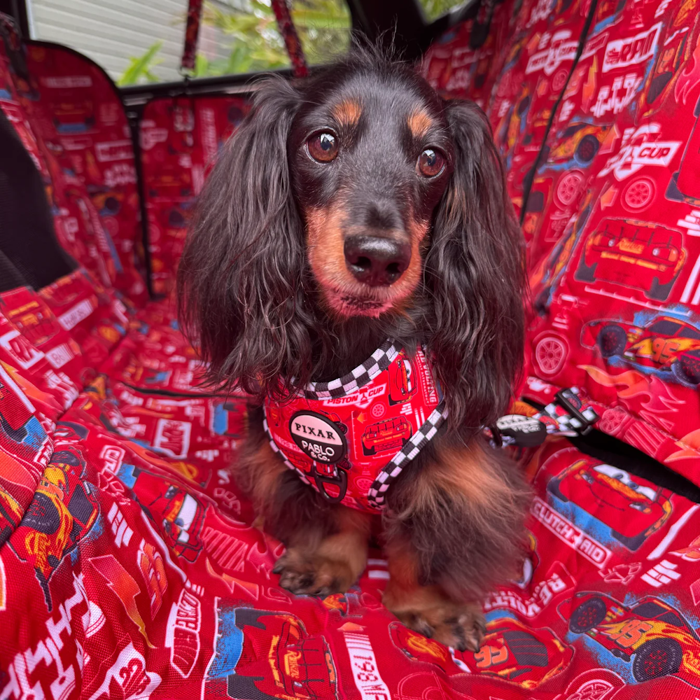 Pablo & Co Cars Deluxe Hammock Car Seat Cover