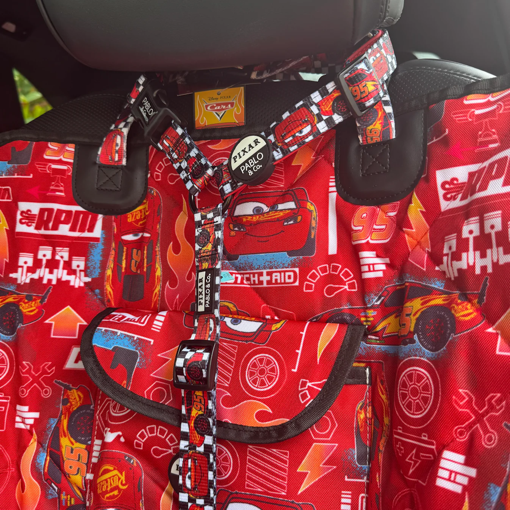 Pablo & Co Cars Headrest Car Restraint