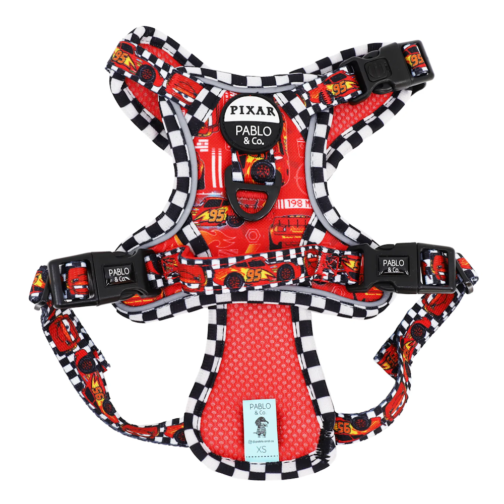 Pablo & Co Cars No Pull Adventure Harness