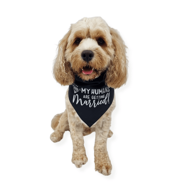 My Humans are Getting Married! Dog Wedding Bandana