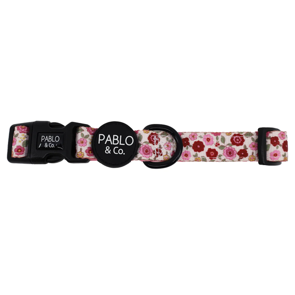 Pablo & Co Primrose Dog Collar