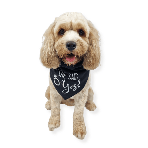 She Said Yes! Dog Wedding Bandana