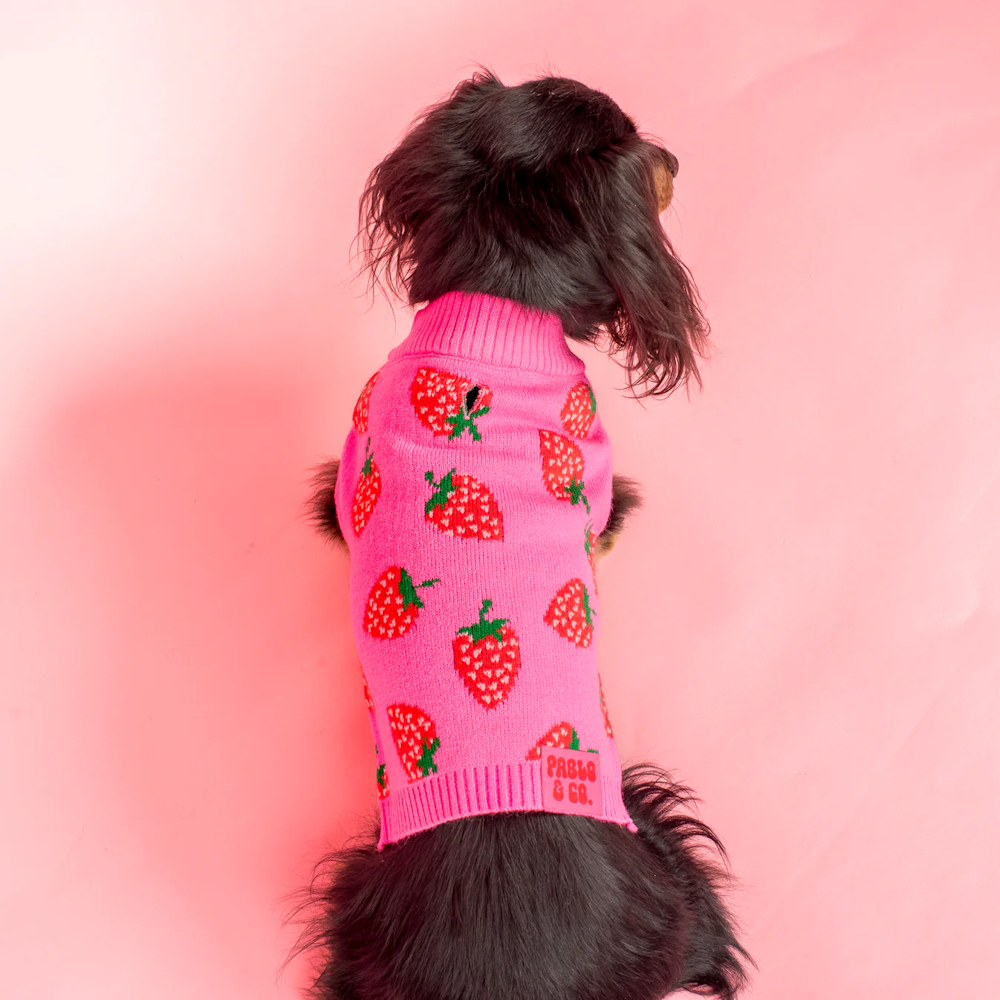 Pablo & Co Strawberries Sweater