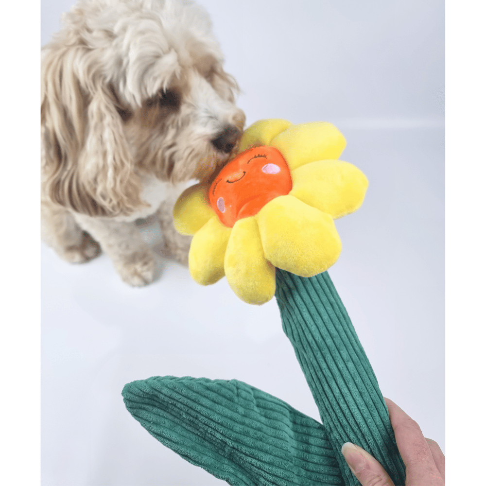 Sun Flower Dog Toy