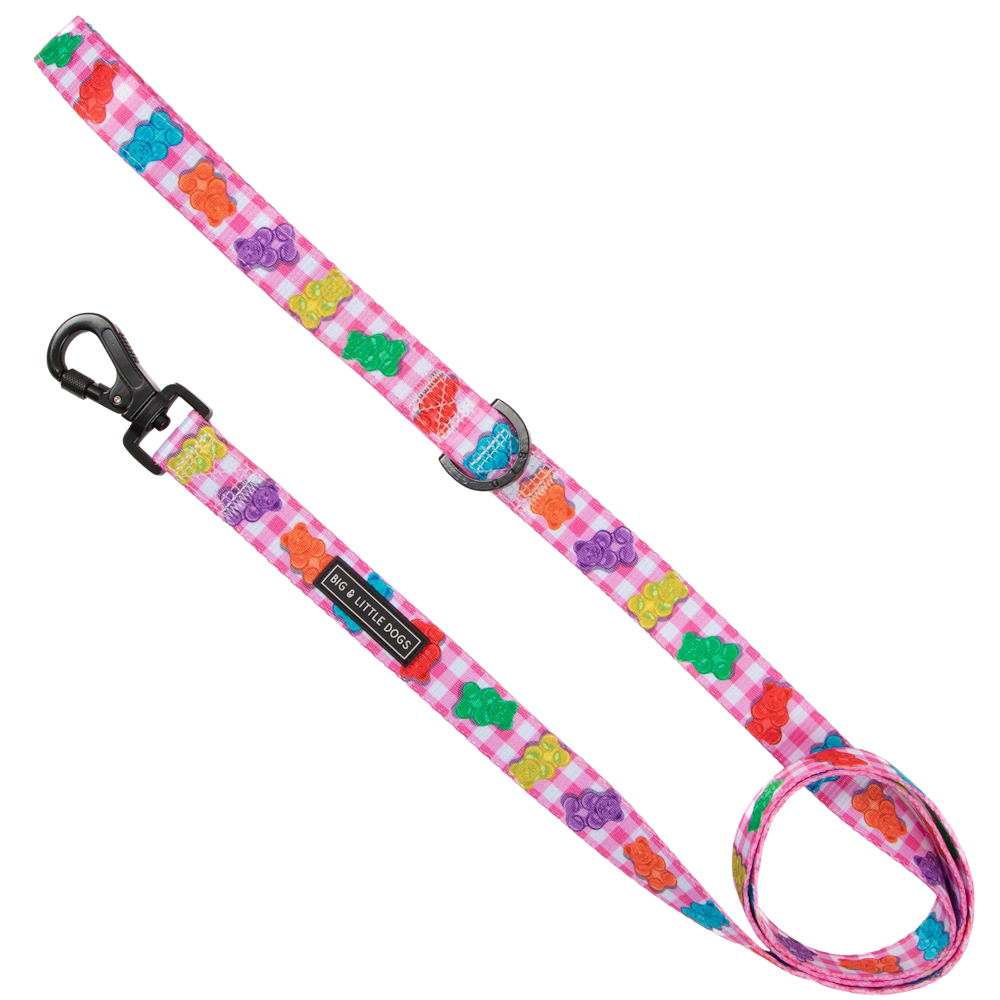 Big & Little Dogs Beary Sweet Dog Leash - Leashes & Leads from Sale at DoggyTopia