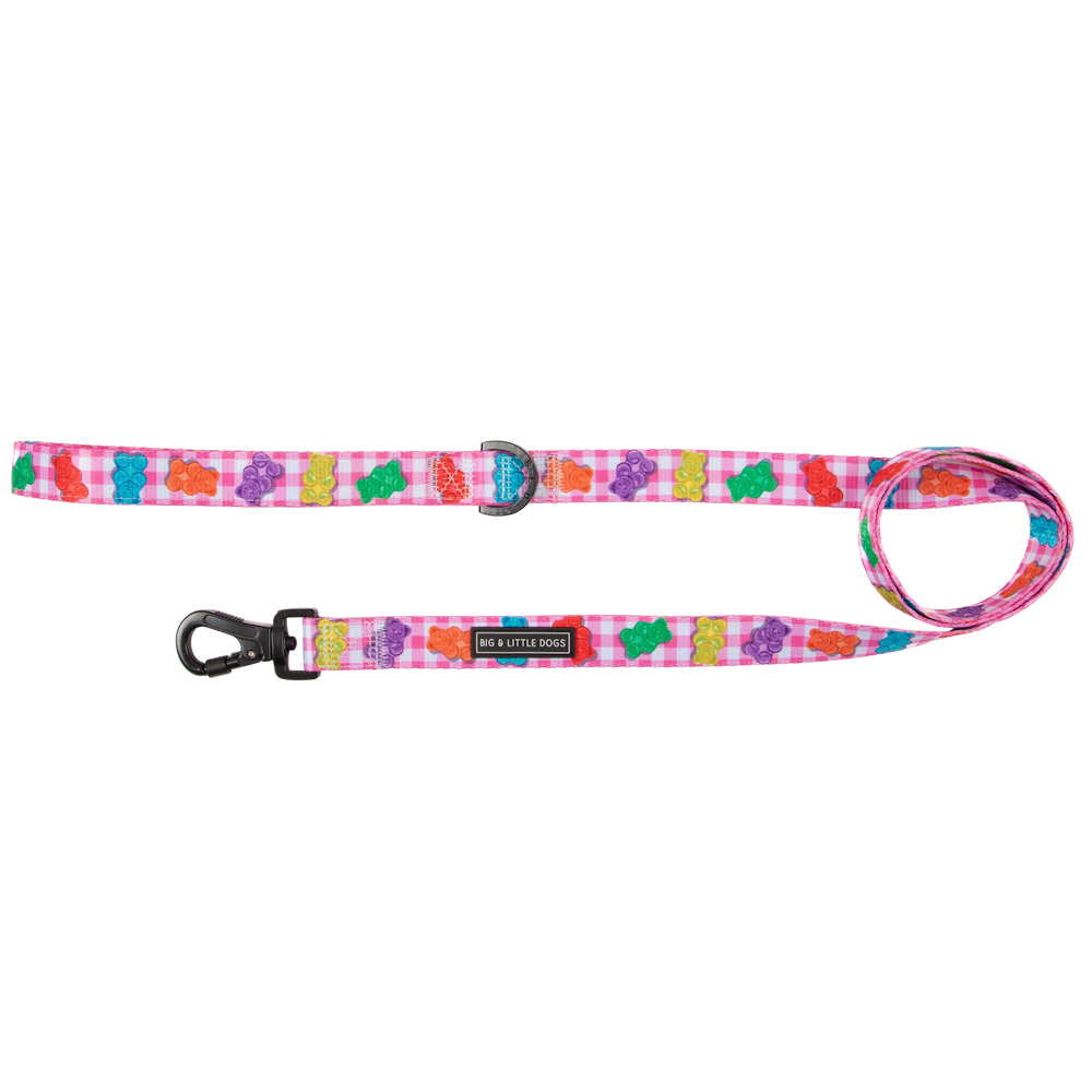 Big & Little Dogs Beary Sweet Dog Leash - Leashes & Leads from Sale at DoggyTopia