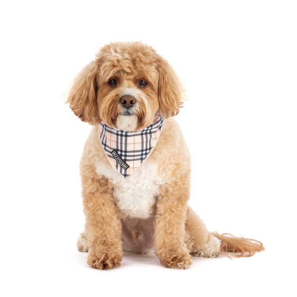 Big & Little Dogs Nova Plaid Bandana - Bandanas from Big & Little Dogs at DoggyTopia