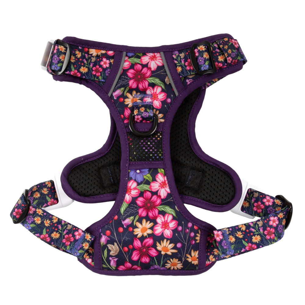 Big & Little Dogs Petal Paradise All Rounder Harness - All Rounder Harnesses from Sale at DoggyTopia