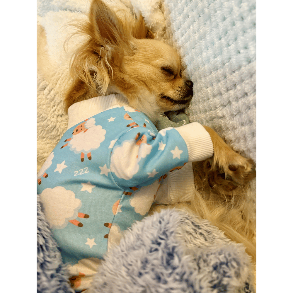 Counting Sheep Dog Pyjamas - Blue - Pyjamas from Sale at DoggyTopia