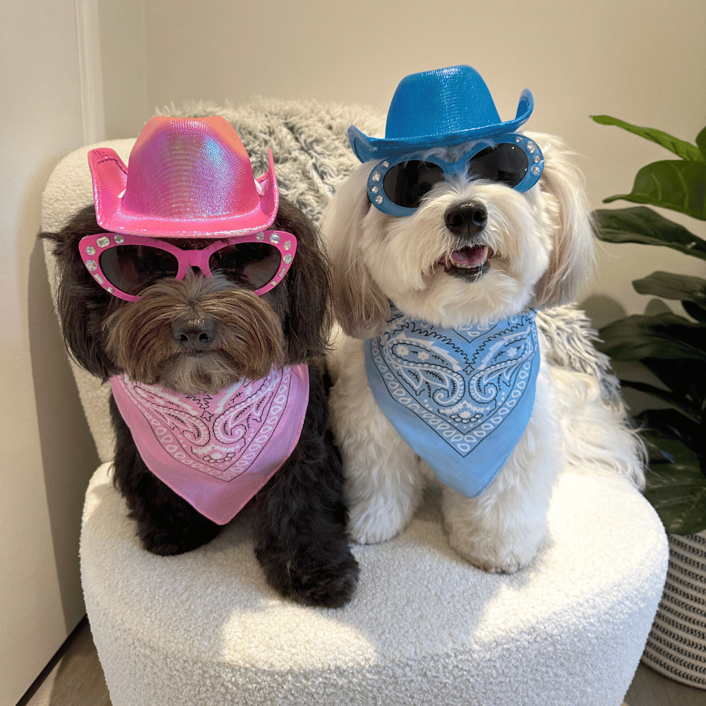 Cowgirl Dog Hat and Bandana: Pink - Dog Hats from . at DoggyTopia