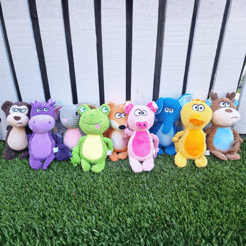 Fiona Frog Rope Corduroy Toy - Plush and Rope Toys from . at DoggyTopia