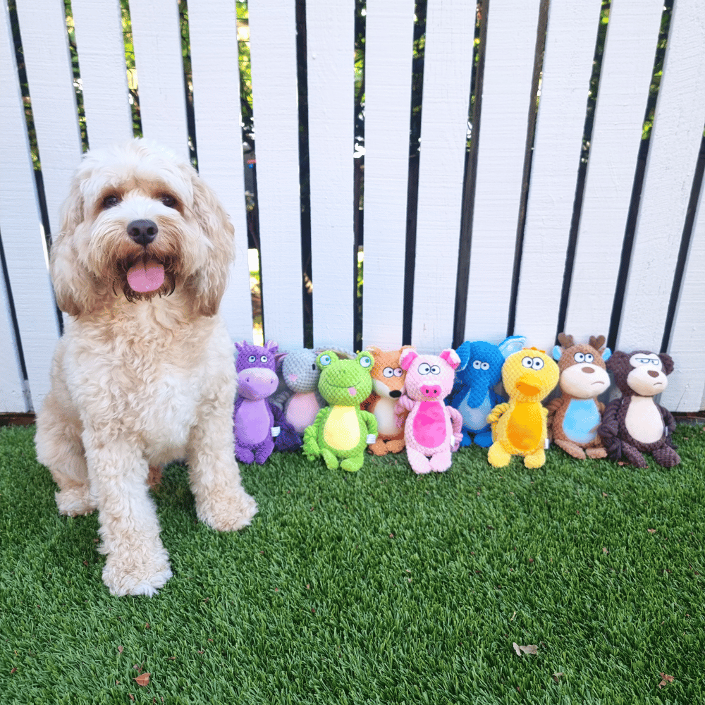 Fiona Frog Rope Corduroy Toy - Plush and Rope Toys from . at DoggyTopia
