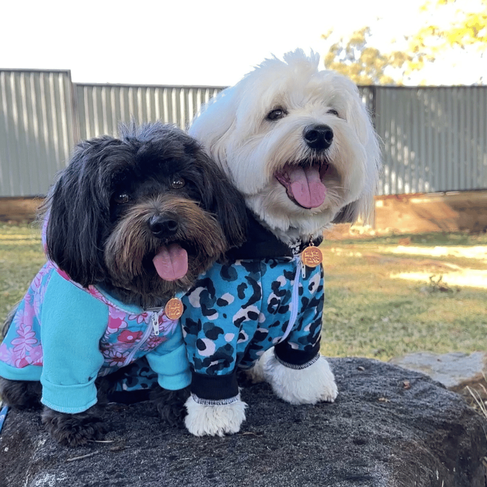 Flower Power Zip Hoodie - Hoodies from Sale at DoggyTopia
