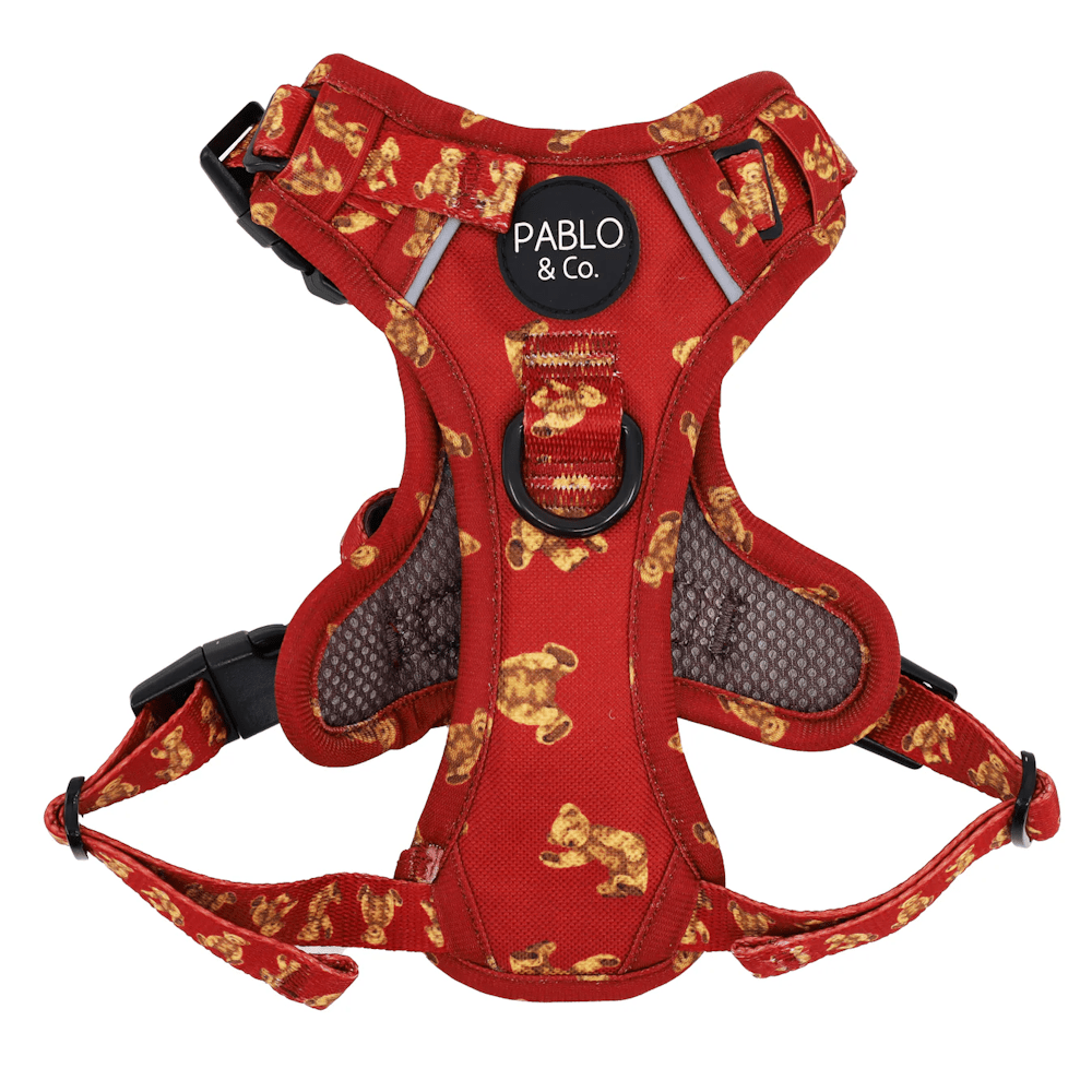 Pablo & Co Henry Bear No Pull Adventure Harness - No Pull Harnesses from Pablo & Co at DoggyTopia
