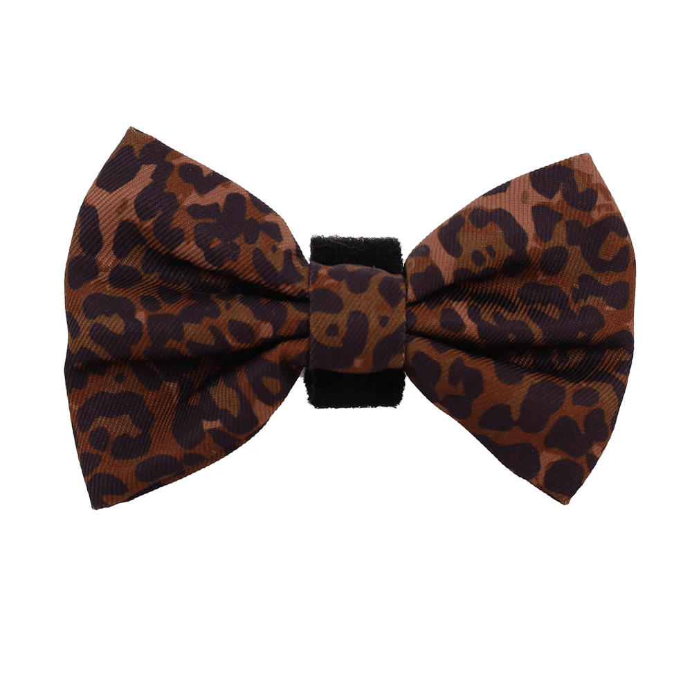 Pablo & Co Leopard Bow Tie - Bow Ties from Pablo & Co at DoggyTopia