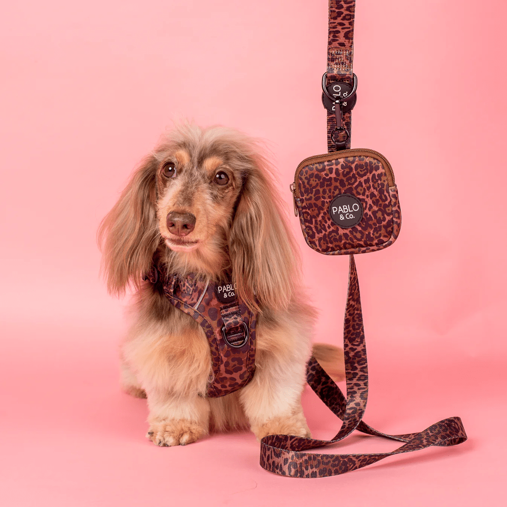 Pablo & Co Leopard Treat Pouch - Treat Pouchs from Pablo & Co at DoggyTopia