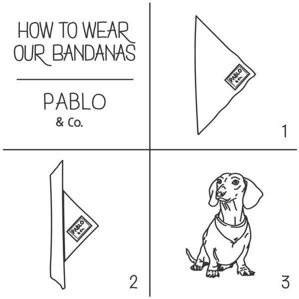 Pablo & Co Party Dawgs Bandana - Bandanas from Pablo & Co at DoggyTopia