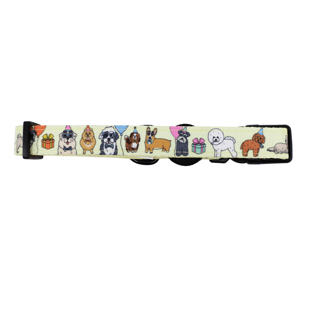Pablo & Co Party Dawgs Dog Collar - Collars from Pablo & Co at DoggyTopia